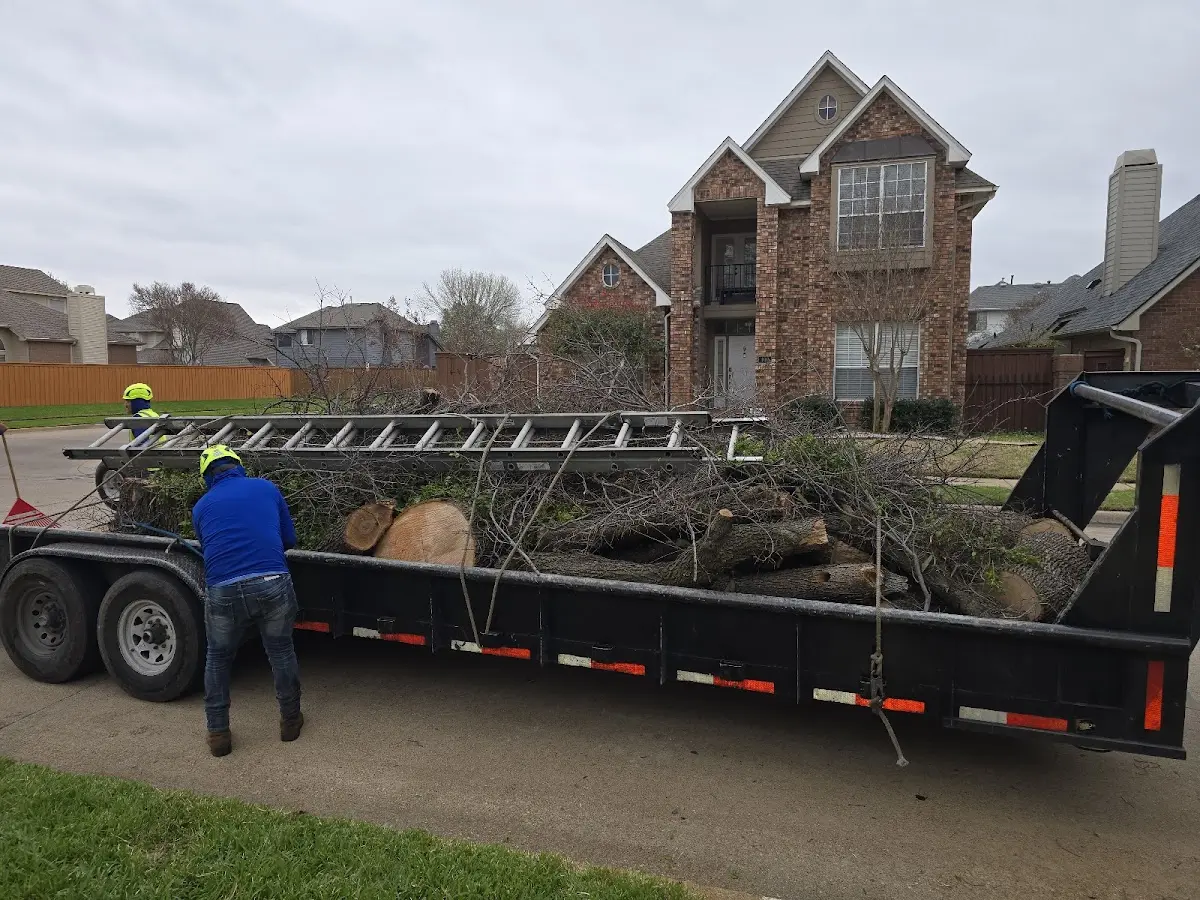 Expert Tree Removal with proper safety equipment in Williamsburg